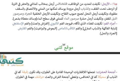 ثلاثة تكيفات للحشرات وما الدور الذي تلعبه في تنوعها وانتشارها لتصبح أكثر تنوعًا وانتشارًا؟