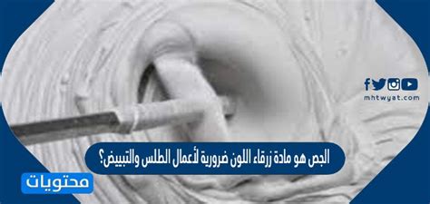 جص باريس مادة زرقاء ضرورية للتبييض والتبييض.  صحيح أم خطأ