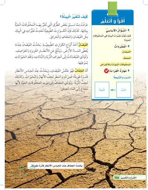 جواب السؤال: هل يمكن للكائنات الحية أن تعود إلى بيئتها بعد كارثة طبيعية؟