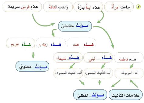حدد طبيعة الاسمين أدناه.  هذا رجل.  هذا موسى.  المذكر، المؤنث، الجمع