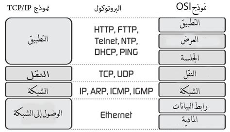حزمة بروتوكول TCP / IP