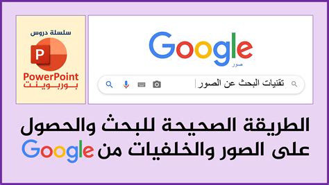 حقول البحث لمحركات البحث صحيحة فقط كاذبة للبحث عن الصور والنصوص حقول البحث لمحركات البحث صحيحة فقط كاذبة للبحث عن الصور والنصوص