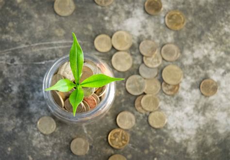 حكم الصدقة الجارية عن جميع أموات المسلمين - الإسلام سؤال وجواب