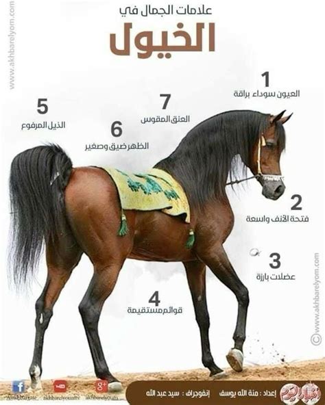 حل اللغز الذي أسألك عن خمسة أنواع هلامية، لا من الخيول ولا من الجمال حل اللغز الذي أسألك عن خمسة أنواع هلامية، لا من الخيول ولا من الجمال