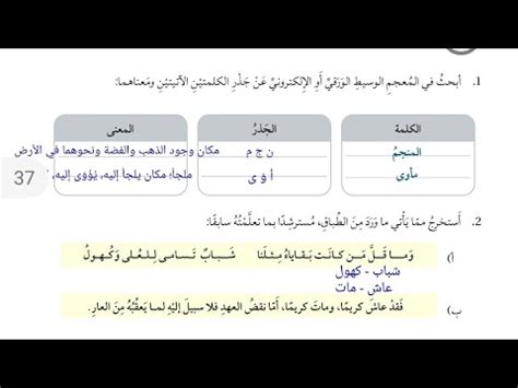 حل سؤال تمتلك صفاء مخبزًا يسمى مخبز الصفاء وقررت مؤخرًا إنشاء موقع القلعة