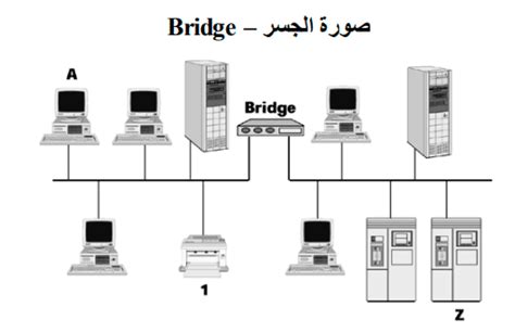 حل سؤال لنقل الرسائل بين أجهزة الشبكة المختلفة بشكل أكثر كفاءة، يتم تقسيم كل رسالة إلى حزم - Alfred Tutorial