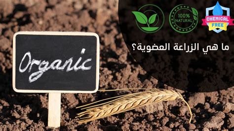 خاتمة البحث في الزراعة العضوية وأهميتها للإنسان