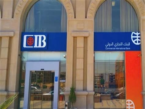 خدمات CIB