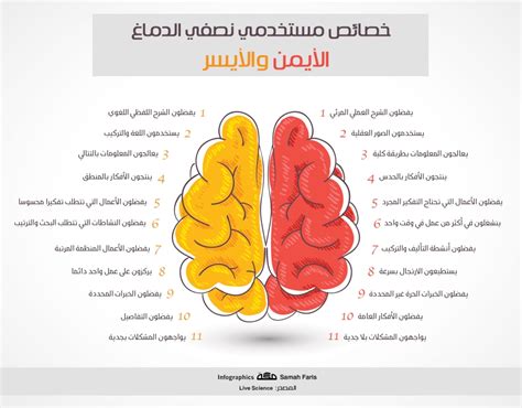 خصائص الأشخاص الذين يعانون من نصف الكرة الأيسر