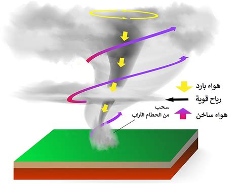 خط العرض الذي تتشكل فيه معظم الأعاصير