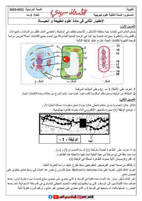 خطة الامتحان للدورة الثانية من ثانوية العلوم الطبيعية