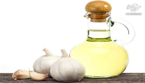خليط من الثوم وزيت الزيتون لعلاج مشكلة القذف