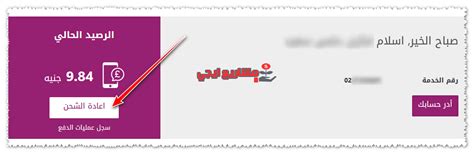 دفع فاتورة الإنترنت من خلال فروع شركة Wei أو المكتب الرئيسي