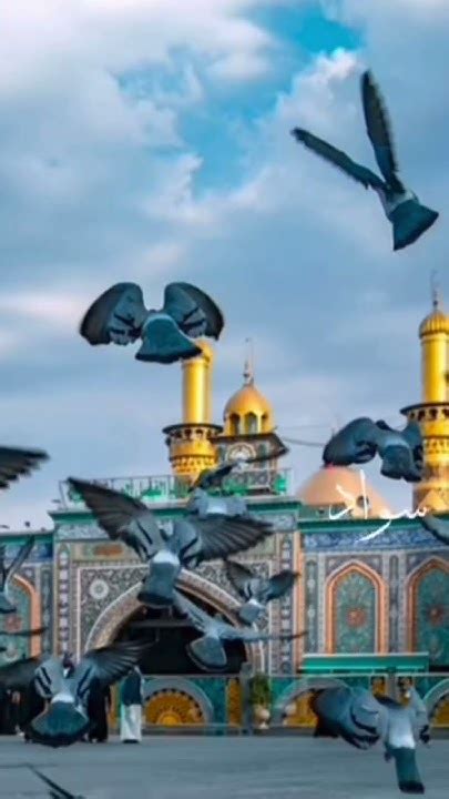 ذهبنا لعمرة محرم وجاء الوضع في جملة _ حل - عربى عرجي