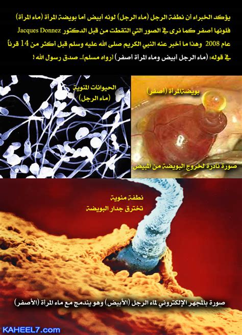 رأي الأطباء في الرجل الذي يبتلع ماء المرأة