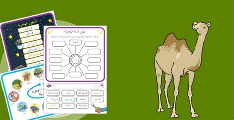 راديو رأس السنة الهجرية للمرحلة الابتدائية والمتوسطة والثانوية