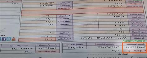 ربط شركة الكهرباء لمعرفة فاتورة الكهرباء بناء على رقم العداد