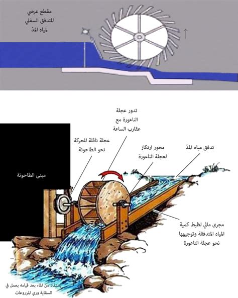 رتب المد والجزر بالترتيب من الأعلى إلى الأسفل - المواد القابلة للذوبان رتب المد والجزر بالترتيب من الأعلى إلى الأسفل - المواد القابلة للذوبان