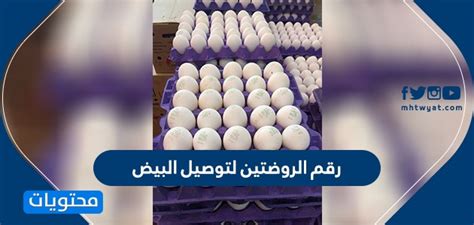 رقم شركة الروضتين لتوصيل البيض (بيض الروضتين) وقت الحظر الكلي في الكويت
