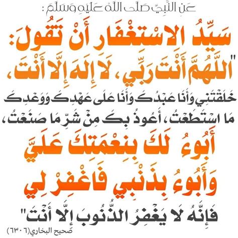 روجي، ما الذي ستعود إليه؟