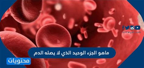 ريدل ما هو الجزء الذي لا يصله الدم؟ ريدل ما هو الجزء الذي لا يصله الدم؟