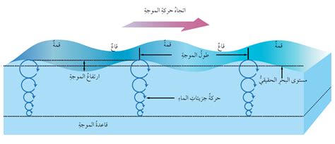 زورق سريع يخلق موجات على سطح الماء ويسحب أنبوبًا عائمًا. صف حركة الأنبوب بينما تعبره الأمواج المتولدة خلف القارب؟