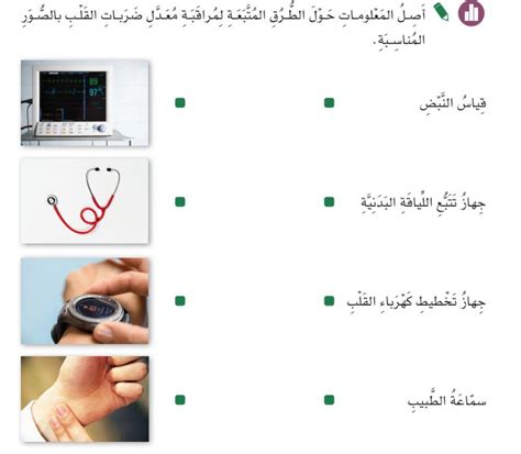 ساعد ابنك في تحديد مواقع قياسات معدل ضربات القلب في جسم الإنسان من خلال البحث في مصادر التعليم المختلفة ساعد ابنك في تحديد مواقع قياسات معدل ضربات القلب في جسم الإنسان من خلال البحث في مصادر التعليم المختلفة
