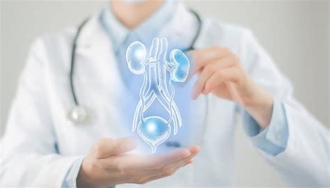 سلس البول: الأسباب والعلاج والوقاية - مركز الدماغ والأعصاب