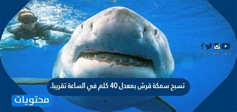 سمكة قرش تسبح بسرعة حوالي 40 كم في الساعة.  ما المعادلة التي يمكنك استخدامها لمعرفة الوقت الذي ستستغرقه لقطع 91 كم بهذا المعدل