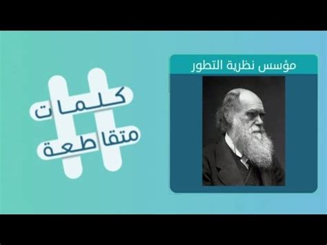 شاعر جاهل له ودع قطة تقوم بالكلمات المتقاطعة شاعر جاهل له ودع قطة تقوم بالكلمات المتقاطعة