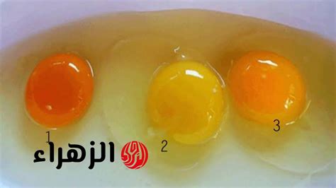 شرح لعدد البيض الذي يمكن رؤيته في الأحلام