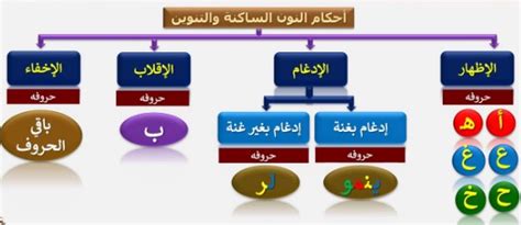 صح أم خطأ  تحديدات الراهبة سكينة وتنوين أربعة وخامس ثلاثة