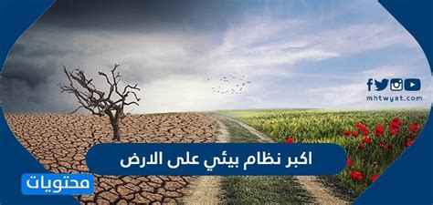 صحيح أم خطأ؟  المحيط الحيوي هو أكبر نظام بيئي على وجه الأرض؟