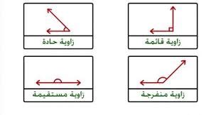 صنف فهد المضلع المجاور فهل تصنيفه صحيح أم خاطئ؟