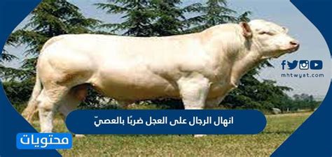 ضربها الرجال بسرعة بالعصي.  ما هي القيمة التي يفتقدها بعض القرويين في هذه الحالة؟  إجابة كاملة