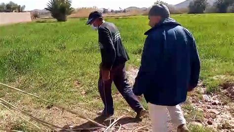 طلب صاحب المزرعة من جيرانه المساعدة في جمع القمح