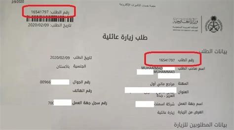 طلب طلب زيارة عائلية (تقدم وزارة الخارجية الألمانية للزيارة العائلية)
