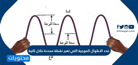 عدد الأطوال الموجية التي تتحرك في ثانية معينة،