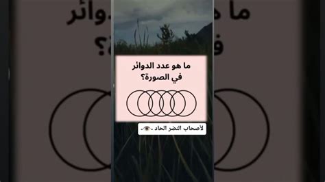 عدد الدوائر المعروضة هو 360 دائرة، صواب أو خطأ - متوحش