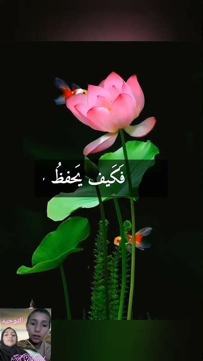 عِش وحدك أو صل لأخيك لأنه ذنب مخجل نهائيًا.