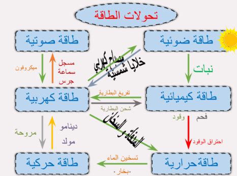 عضية تحول الطعام إلى شكل آخر من أشكال الطاقة التي تستخدمها الخلية.