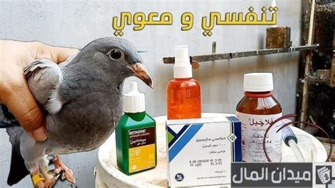 علاج أمراض الحمام والمستحضرات الطبية للاستخدام الآدمي علاج أمراض الحمام والمستحضرات الطبية للاستخدام الآدمي