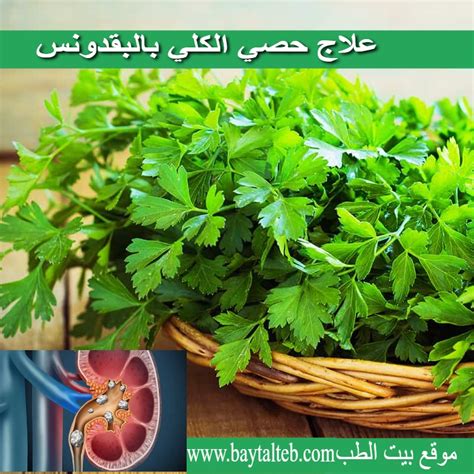 علاج الكلى بالبقدونس والشعير وطريقة تحضيرهما