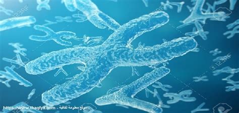 علاقة البيولوجيا الجزيئية بالعلوم البيولوجية الأخرى
