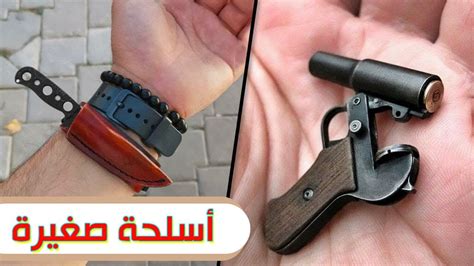 على الرغم من صغر حجمها، إلا أنها تحظى بشعبية في جميع أنحاء العالم