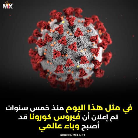 على المؤمن أن يبرر نفسه بانتشار وباء في العالم مثل كورونا، وعلينا أن نتخذ إجراءاتنا الاحترازية ونتوكل على الله.