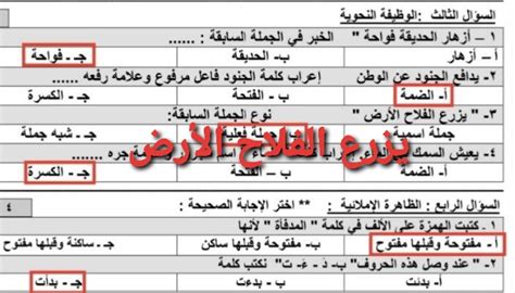 عمر طالب نجيب.  الاسم المعرّف في الجملة السابقة - أفضل إجابة