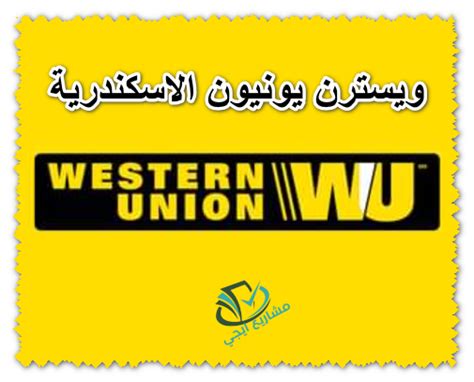 عناوين فروع ويسترن يونيون بمحافظة الإسكندرية