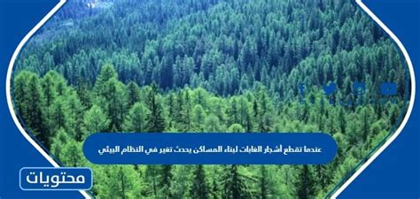 عندما يتم قطع أشجار الغابات لبناء المنازل، يتغير النظام البيئي ويؤثر على الكائنات الحية.  هل البيان صحيح أم خطأ  اشرحها.  ملاحظة / استخدم منظم مخطط السبب والنتيجة.