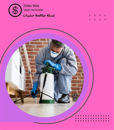 عوامل نجاح شركة مكافحة حشرات في مدينة الاحساء